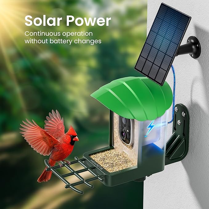 Smart Bird Feeder with Camera, 3K HD Live Stream, AI Species Identification, Solar Powered, Instant Motion Alerts, IP65 Weatherproof Outdoor Gifts for Bird Lovers, Green