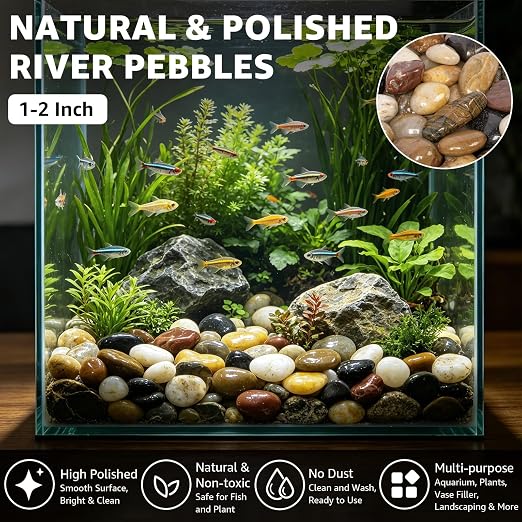 1-2" Polished Pebbles, Medium River Rocks for Potted Plants (43lb, Mixed) | Natural River Stones, Highly Polished, for Large Planters & Fountains, Retains Soil Moisture,Approx 350-400 Rocks per 43 Lbs