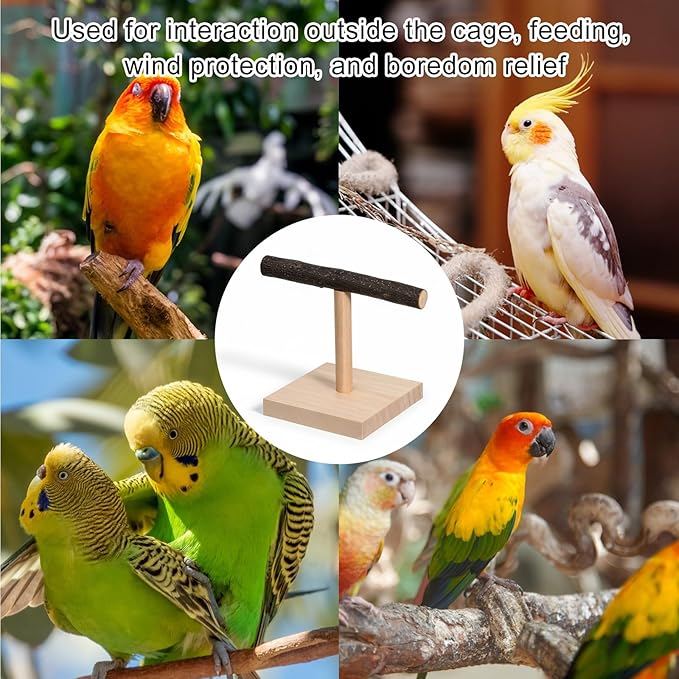 Bird Perch Stand Bird Training Stand Portable Tabletop Parrot Stands Natural Wood Parakeet Perches for Parakeets Cockatiels Conures Macaws Finches Lovebirds