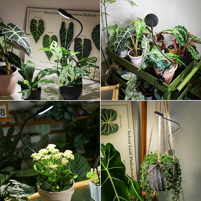 3 Pack Clip-On Grow Lights for Indoor Plants, 12W Each, Black | 4000K Full Spectrum, Flexible Gooseneck, 3/6/12H Timer, 4 Dimmable Levels for Racks