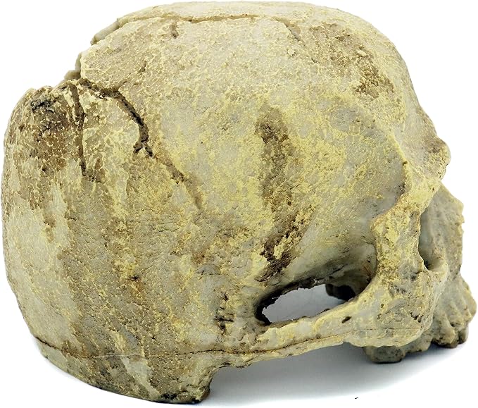JIHAQUA Aquarium Resin Skull Ornament Snake Hide Decor, Habitat | Reptile Tank Accessories, Basking