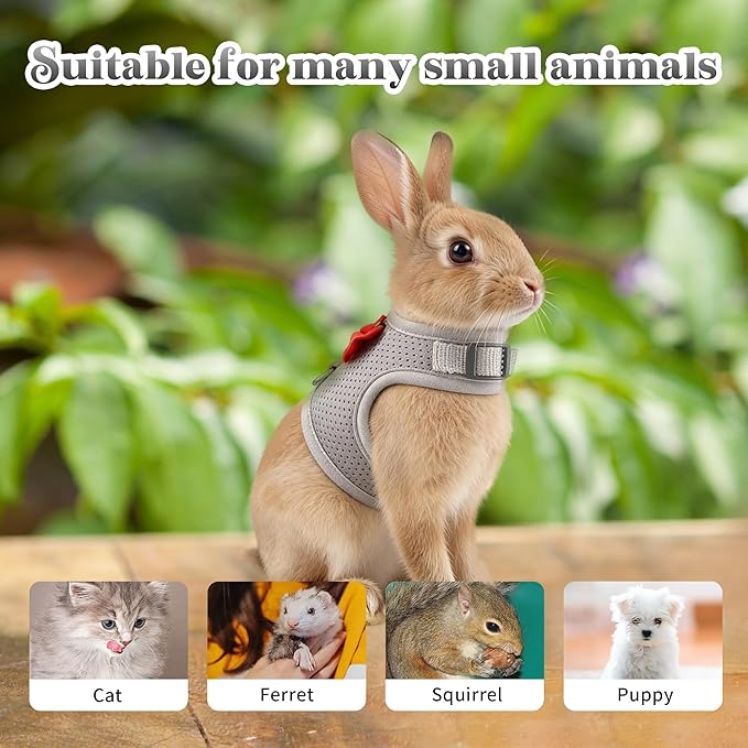 AIITLE Rabbit Harness and Leash Set with Cute Bow, Soft Breathable Mesh Vest Harness for Rabbits Kitten Ferret Puppy Small Pets Walking Supplies Grey L