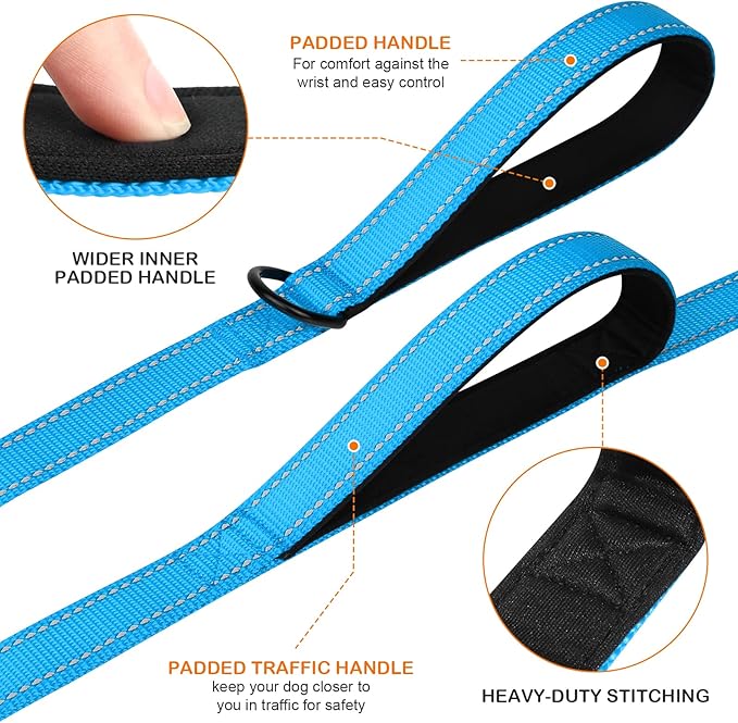 Joytale Dog Leash Heavy Duty for Large Dogs that Pull, Double Handle for Traffic Control, Double-Sided Reflective Leashes for Large Medium Dogs Night Safety, 4FT, Aqua Blue