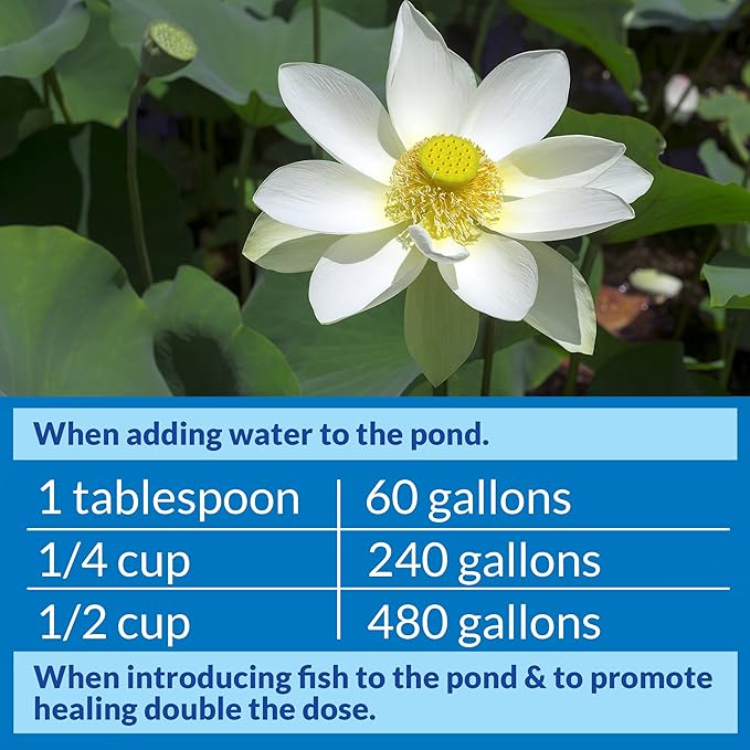 API POND STRESS COAT (64 fl oz) Pond Water Conditioner - Quickly Makes Tap Water Safe for Fish & Plants - Up to 7680 Gallons - Removes Chlorine, Ammonia & More - Natural Aloe Vera