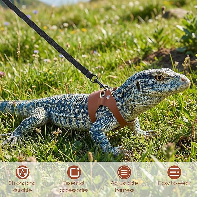 3 Pack Bearded Dragon Harness and Leash Set, Small Animal Traction Rope Training Walking Vest Accessories, 3-Size Adjustable Soft Leather Lizard Vest Harness Leash for Squirrel Reptile Rat