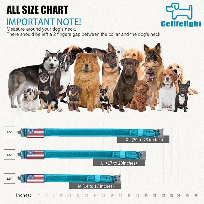 Celifelight Tactical Dog Collar Military Dog Collar Adjustable Nylon Dog Collar Heavy Duty Metal Buckle with Handle for Dog Training,with Patches(Light Blue 1, M), Medium
