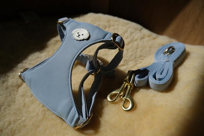 AetruffyPet 100% Cotton Dog Harness and Leash Set – Soft Breathable Vest for Small Dogs, Adjustable No-Choke Design, Lightweight Walking Set (XS/S/M) (Blue, XS)