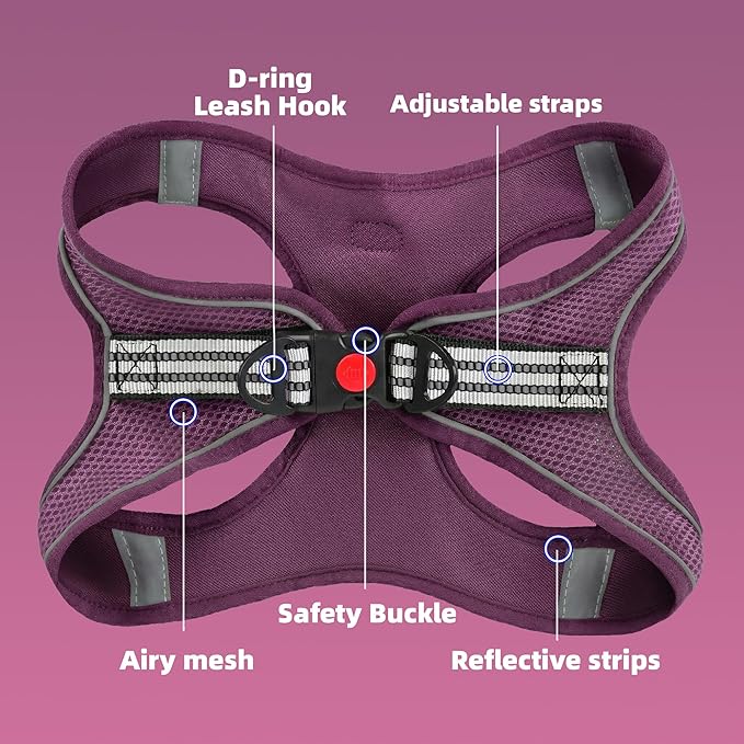SMOUATOU All Weather Mesh Step in Vest Harness for Small and medidum Dogs and Cats, Adjustable Soft Padded Dog Vest with Easy Control Handle for Dogs Pets (Purple, S)