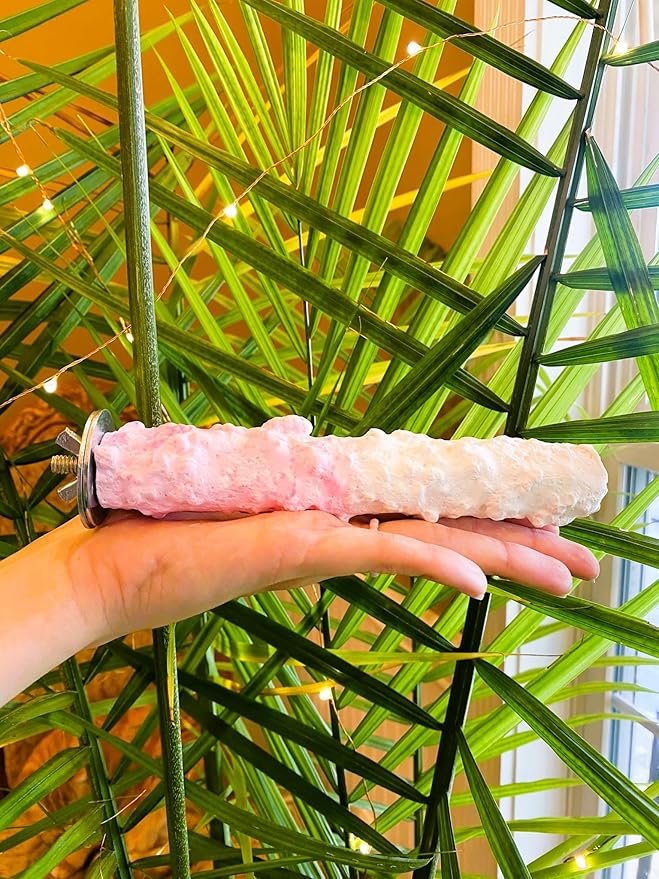 Polly's Edible Cuttlebone Calcium Bird Cage Perch for Budgies, Parakeets, Amazons, Blue & Golds, Macaws and Cockatoos.… (Strawberry, Medium)