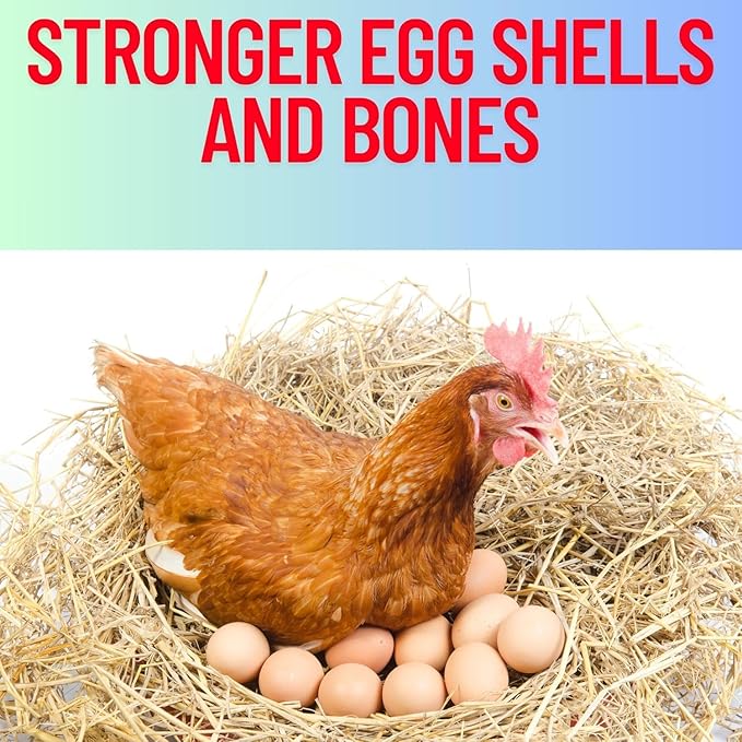Blue Stones Grit Mix Minerals, High Calcium Supplement, Designed to Promote Strong Bones, Better Digestion, and Overall Well-Being for Pigeons, Small Cage Birds, Duck and Chickens 3 Pounds Bag