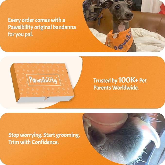 Pawsibility Pet Nail Clipper PRO 2026 - Quick-Vision LED Light | 2-Stage Adjustable Professional-Grade Blade | Adjustable Magnifier Safety Guard - for Cats, Small, Medium and Large Dogs - Black