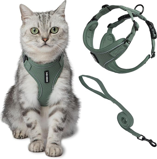 Voyager Escape-Proof Step-in Lock Cat Harness & 5ft Neoprene-Handle Leash Set All-Weather Mesh with Reflective Stitching for Small to Large Cats by Best Pet Supplies, Moss Green (327), M