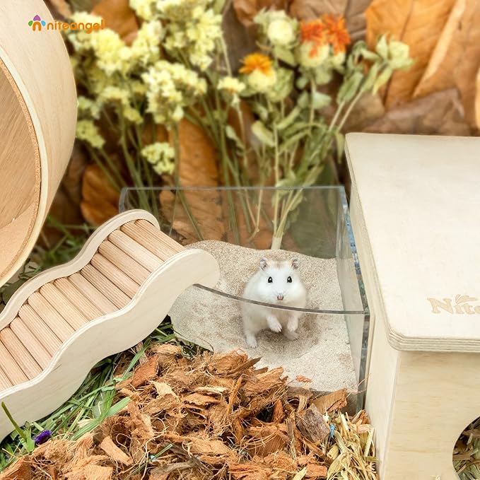 Niteangel Hamster Desert Bath Sand | No-Dust Bath or Potty Litter for Hamsters, Chinchillas, Gerbils, Mice, Degus and Other Small Pets (Desert Sand & Zeolite Particles, 2.5LB/40oz)