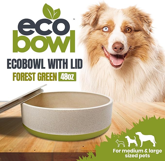 Palz&Co EcoBowl with Lid for Dogs & Cats, 48 oz Green - Natural Bamboo Pet Bowl with Non-Slip Base, Pet Food and Water Dish, Dishwasher Safe