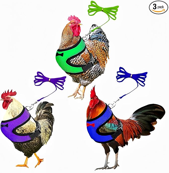 3 Pack Chicken Harness and Leash Set Adjustable Hen Vest with Matching Belt Breathable Mesh Training Harness Pets Leash for Hens Duck Goose Small Pet-Green&Purple&Blue,S