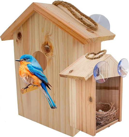 See Through Window Birdh Ouse - Wooden, Large Suction Cups, Hanging Lanyard Rope Bird House - Spy Window Bird Nest Box - Outdoor Bird Watching, Backyard Bird Shelter