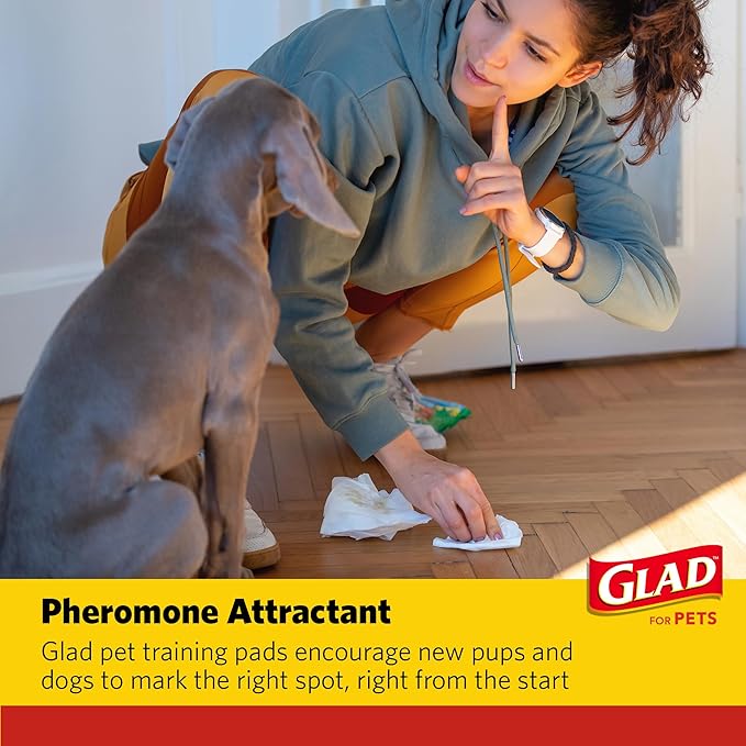 Glad for Pets Day to Night Activated Carbon Puppy Training Pads, Odor Control Disposable Dog Pads with Adhesive and Wall Protection, Leak Proof and Super Absorbent, 30 x 36 Inch, 24 Count - 2 Pack