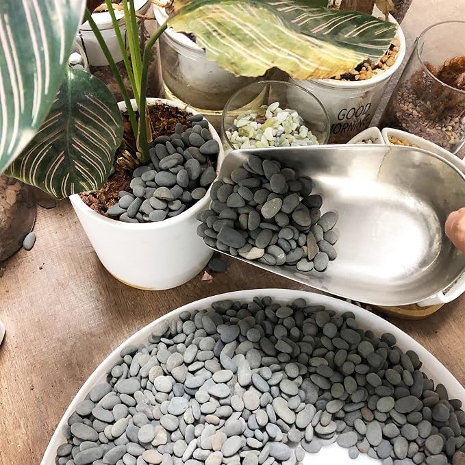CJGQ Black River Rocks - 7lb Small Mexican Beach Pebbles for Succulents, Aquarium, Garden & Vase Decor