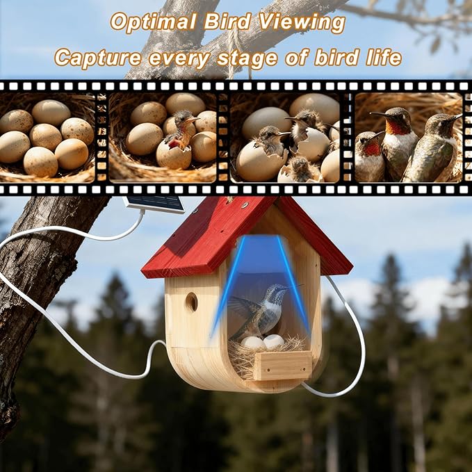Hummingbird House with Camera Solar Powered, HD Full Color Night Vision Bird Camera, 2.4G WiFi & App Notify, Watch Bird Nesting & Hatching in Real Time, Ideal Gift for Bird Lovers