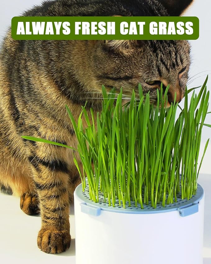 2Pcs Hydroponic Cat Grass Planter (no Seeds Included), Soil Free, Anti Digging, Anti Grass Uprooted, Wheatgrass Growing Kit, Cat Grass for Indoor Cats Pets (2)