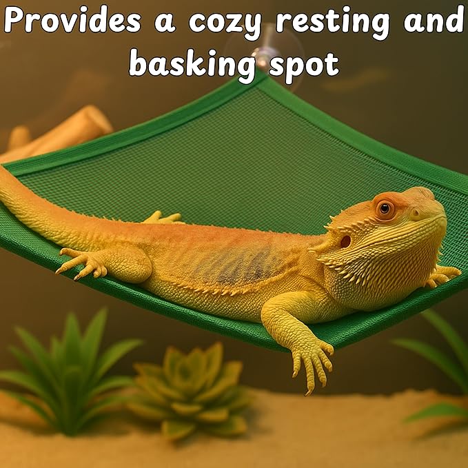 Bearded Dragon Reptile Hammock Enrichment Cage Accessories, Bearded Dragon Feeder Ball and Breathable Mesh Hammock, Lizard Hammocks Lounger Bed Rest and Feed Toy, Reptile Tank Accessories (Red)