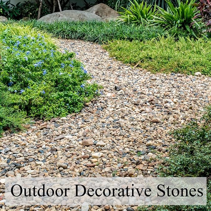 FANTIAN 10 lbs Pea Gravel for Landscaping,1/4 Inch Aquarium Gravel. Decorative River Rocks for Fish Tank Succulent Vase Cactus Bonsai Plant Soil Cover and Outdoor Landscaping Rocks