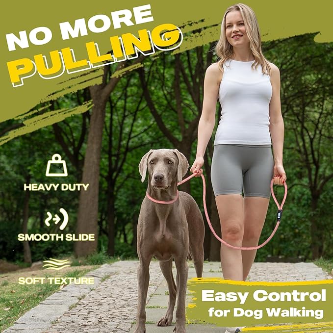 Fida Durable Slip Leads for Dogs, 6 FT x 1/2" Heavy Duty Dog Loop Leashes, Comfortable Strong Rope Slip Leash for Small Dogs and Puppies, No Pull Pet Training Lead with Highly Reflective(1/2", Pink)
