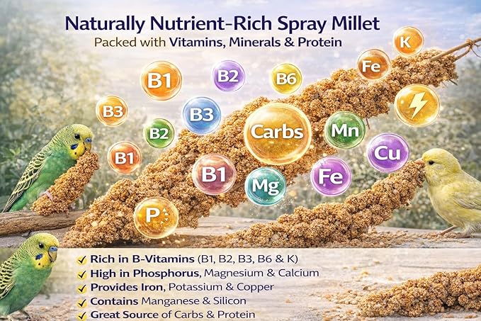 Farm to Feathers™ Economy & Thin Spray Millet with Cuttlebone Bundle – USA Grown Millet Sprays for All Birds, Cockatiels, Lovebirds, Parakeets, Finches – 7 Ounce (Pack of 1) + 4" Cuttlebone (4-Pack)