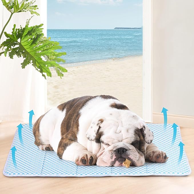 Cooling Dog Mat Q-Max>0.5 - Rapid Cooling Tech, Thin Breathable Crate Pad, Portable Washable Summer Mat, Chill Soothing Fabric - 30"x20" Medium Dog, Blue