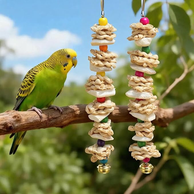 Bird Toys with Cuttlebone, Prevent Destructive Chewing, Grinding Stone for Bird, White, Colorful, 2 Pcs
