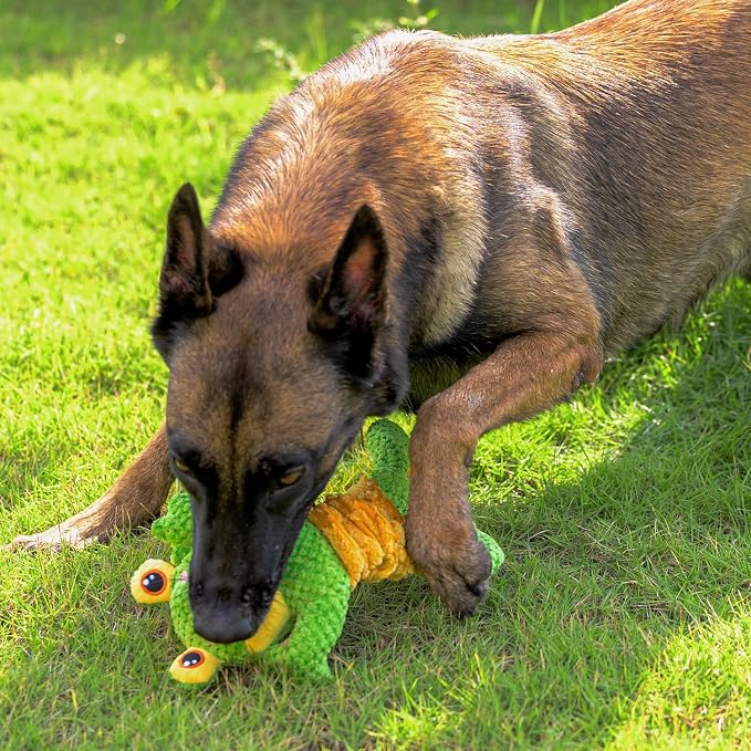 Sedioso Dog Tug Toy, Durable Dog Toy for Large Breed, Tug of War Dog Squeaky Toys, Stuffed Plush Dog Toy with Crinkle Paper for Small, Middle, and Big Dogs(Frog)