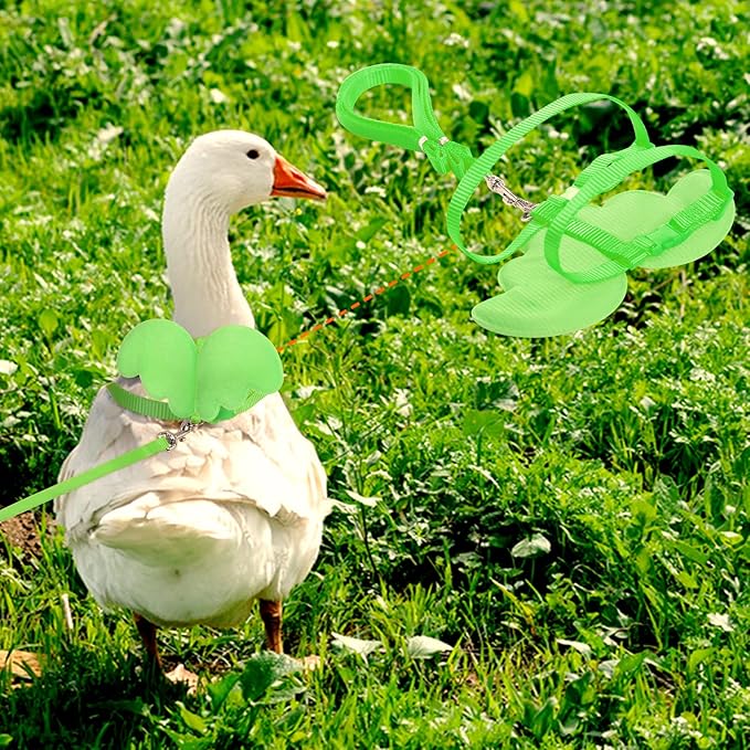 KAMA BRIDAL Duck Walking Harness and Leash Chicken Duck Outdoor Training Rope Adjustable Rope for Pet Poultry Hen Cock (S, Green)