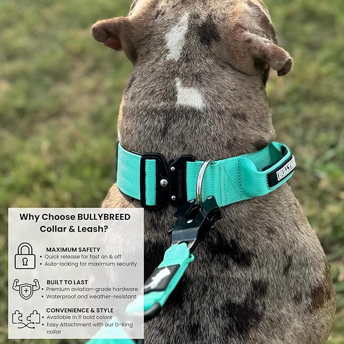 Heavy Duty Dog Collar, Tactical Dog Collar, Dog Collar for Large Dogs, Waterproof Dog Collar, Dog Training Collar, Quick-Release Metal Buckle, Adjustable Sizes – BULLYBREED (Aquamarine, Large)