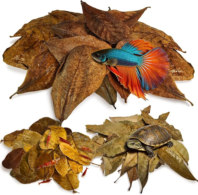 Indian Almond Leaves for Betta Fish,20Pcs Catappa,40Pcs Oak Leaves & 60Pcs Longan,Aquarium Water Conditioner Leaf,pH Balancing Water Conditioner Leaf for Betta Fish,Shrimp,Frogs,Axolotl Tanks