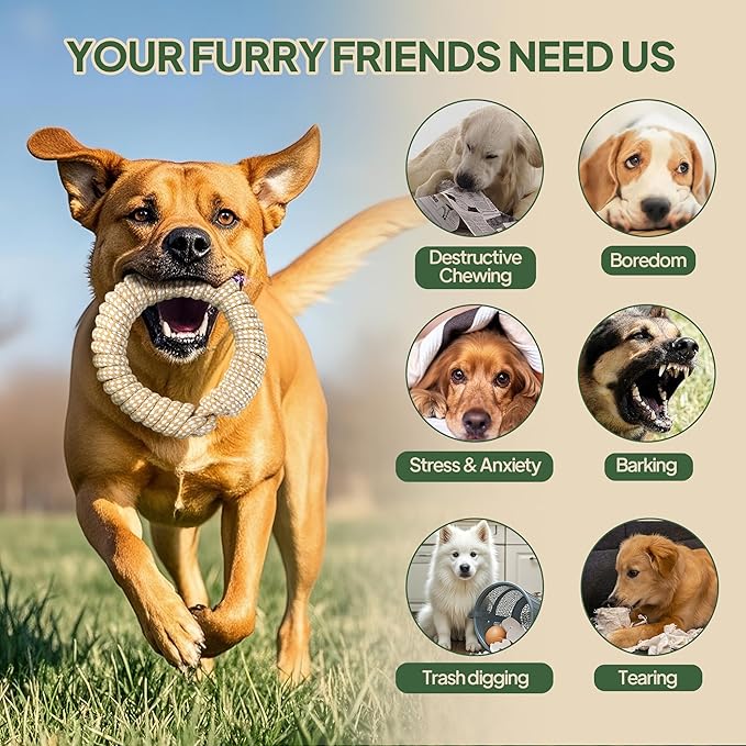 TwoEar Dog Rope Toy 4 Pack - Dog Rope Toys for Large Dogs - Indestructible Natural Cotton Chew Toys for Aggressive Chewers - Tough Tug of War Dog Toys for Boredom, Teeth Clean