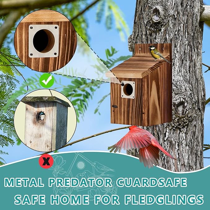 2 Pack Bird Houses for Outside, Outdoors Birdhouse Feeder for Bluebird,Cardinal,Purple Martin and Sparrow,Wooden Cedar Hanging Birds Nest,Easy to Clean,No Assembly Needed