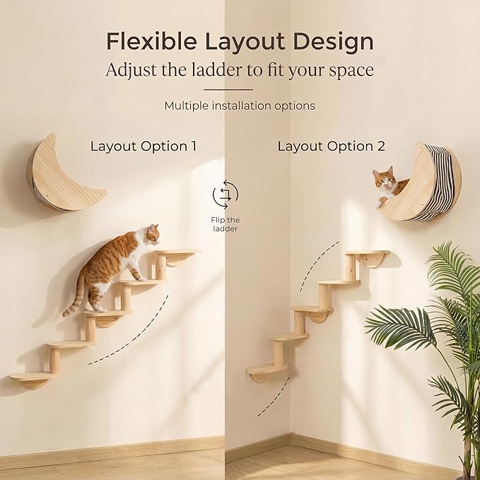 Cat Shelf for Wall Mount Hammock with 5-Levels Climbing Ladder Moon Cat Shelves and Perches for Activity Indoor Cats Wall Furniture(5-Levels Steps)