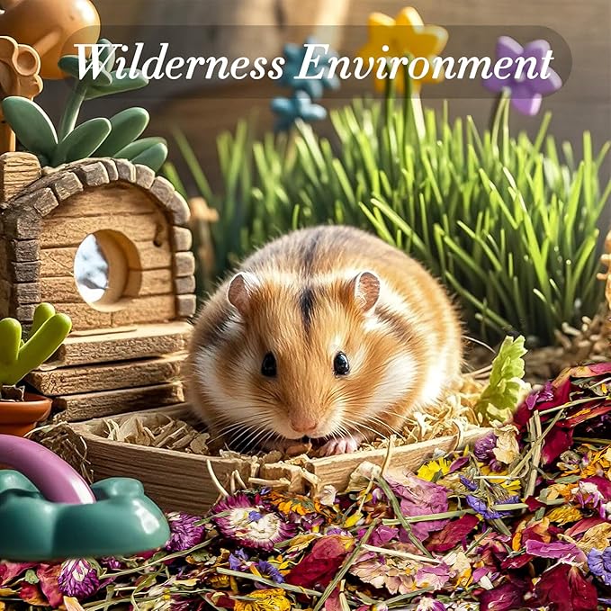 RAINFLOW 150G Hamster Bedding - Hamster Flowers & Herbs Hamster Bedding Dwarf Hamster Bedding Gerbil Bedding Robo Hamster Bedding Katy Hamster Bedding Hamster Habitat Decor Hamster Forage