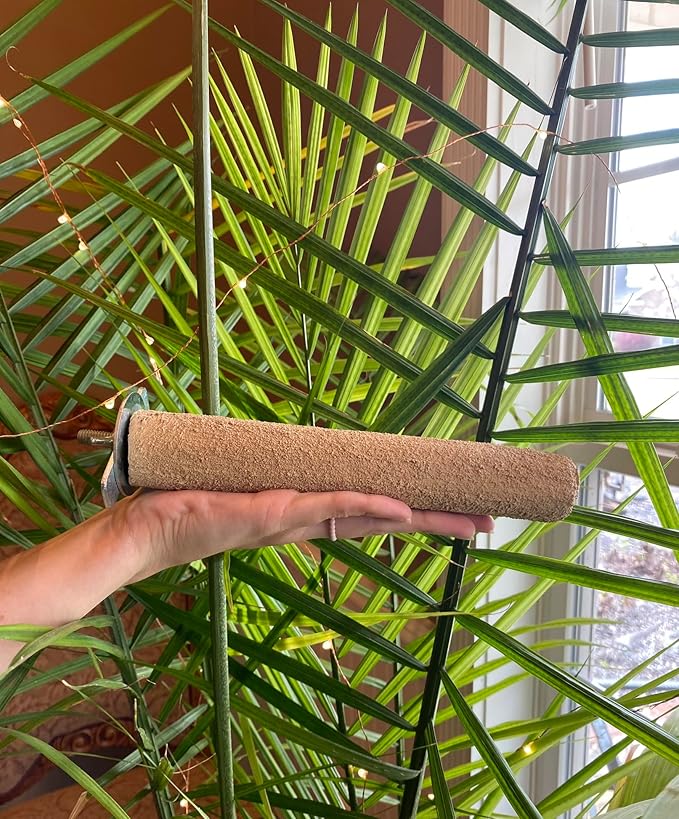 Polly's Pastels Nail Trimming & Beak Conditioning Safety Perch for Cockatiels, Cockatoos, Macaws, Parakeets, Budgies, Parrots and All Other Birds (Brown, Medium-1 1/4" Dia. x 8" Long)