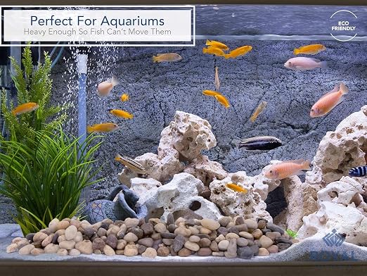 Royal Imports River Rocks, Aquarium Gravel – Natural 1"- 1.5" - 2 lbs | Decorative Ornamental Vase Filler Pebbles for Potted Plants, Terrariums, Vases, Succulents, Fish Tank Gravel, DIY & Crafting