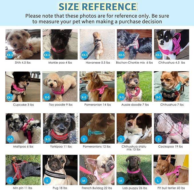 Lukovee No Pull Dog Harness and Leash Set, Soft Padded Small Dog Harness, Neck & Chest Adjustable Reflective Vest Puppy Harness with 4ft Lightweight Anti-Twist Dog Leash for Small Dogs (XS, Fuschia)