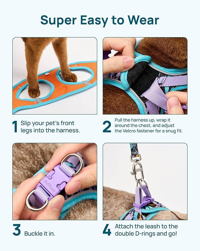 PetThem Upgraded Cat Harness and Leash Set - Step-in Escape Proof Adjustable Cat Harness, Comfortable Soft Lightweight, Reflective Harness for Walking, Travel, Camping (Butterfly Magic, M)