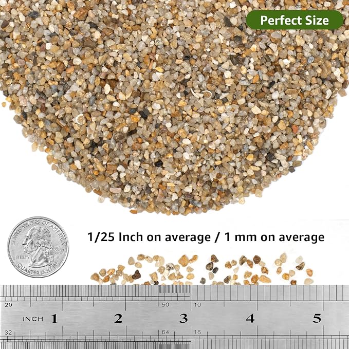 2 lbs Aquarium Coarse Sand, 1/12'' Premium Gravel and Substrate | Water-Washed, Undyed, Uncoated, for Nano Tanks, Planted Layouts, Stream-Style Aquascapes, Vivariums, Terrariums, Plants