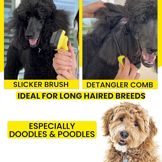 Doodle Brush Slicker for Dogs - Self Cleaning Dog Brush for Poodles, Goldendoodle Grooming Kit with Detangler Comb
