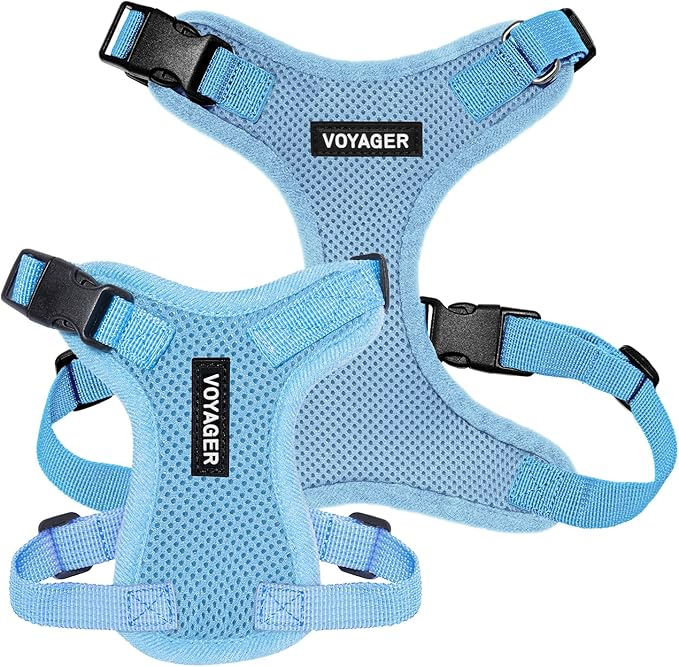 Voyager Step-in Pet Harness - All Weather Mesh, Adjustable Step in Harness for Cats and Dogs by Best Pet Supplies - Baby Blue, L