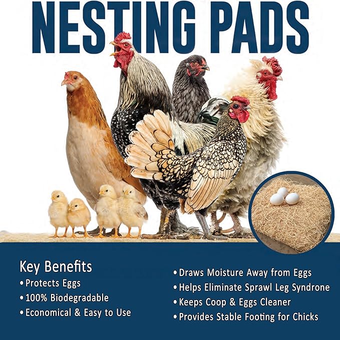 Chicken Nesting Pads for Chicken Coop Accessories - 12 Pack - USA Aspen - Professional Grade Excelsior Bedding – Easy Clean Up - Absorbs Moisture - 100% Natural, Dust-Free Liners for Laying Hens 13x13