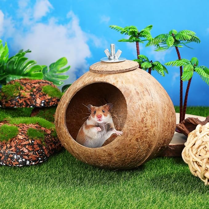 Balacoo Coconut Bird Nest for Cage: Natural Coconut Shell Parakeet Nesting Box, Parakeet Breeding Hut - Bird Cage Accessories for Budgies Cockatiel Conure Lovebirds