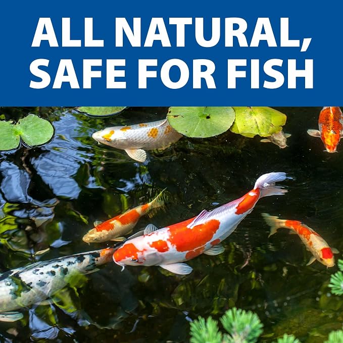 The Pond Guy LiquidClear Beneficial Bacteria Pond Cleaner, 1 Gallon | Reduces cloudy water in outdoor water gardens and small ponds and is fish and plant safe