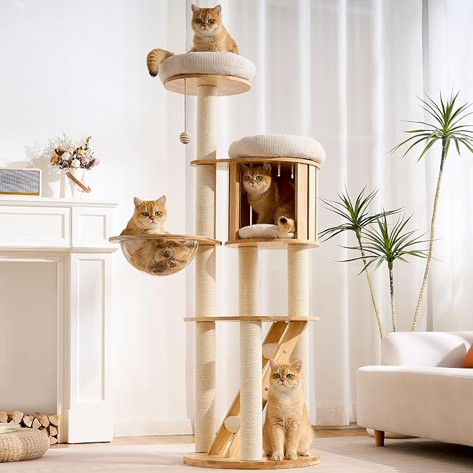 HITTITE Solid Wood Cat Tree Tower with Scratching Post, 61 Inches Tall Cat Towers with Capsule and Condo, Modern Cat Tower with Climbing Ladder and Removable Top Bed for Indoor Cats.