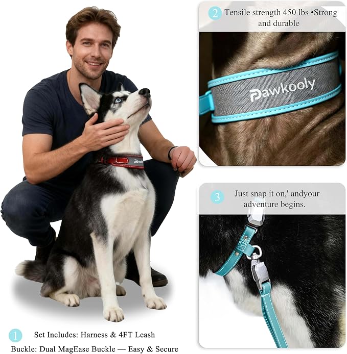 MagEase Dog Collar with 4FT Leash | Adjustable | Anti-Wrinkle, Bite & Stain-Resistant Leather | Soft & Skin-Friendly | 450LB Escape-Proof Magnetic Buckle (Light Blue, Extra Large)